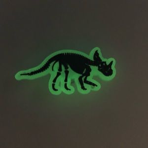 5/$10 Luminous dinosaur crocs shoe charm